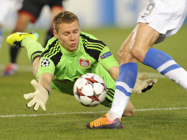 展示乌龟 展示乌龟